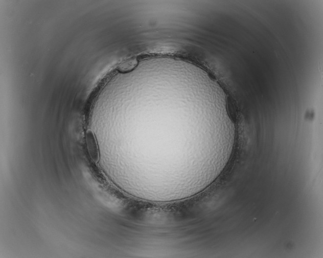 X0000112140300200908281323