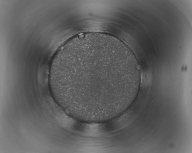 X0000112140301200908281323