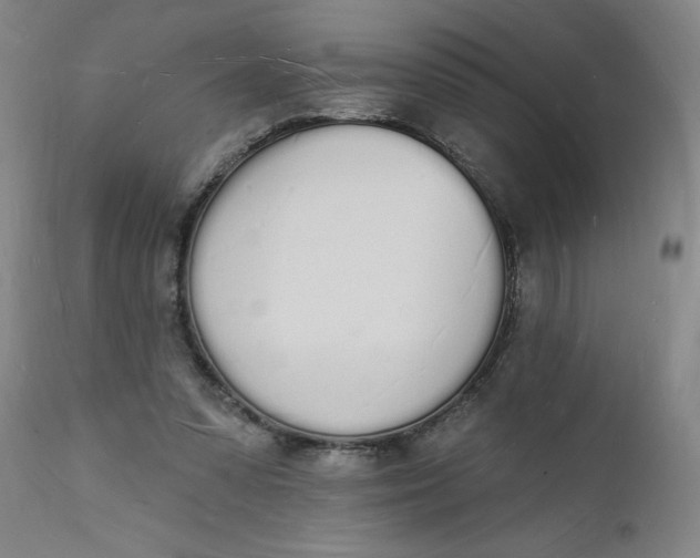 X0000112140303200908281323