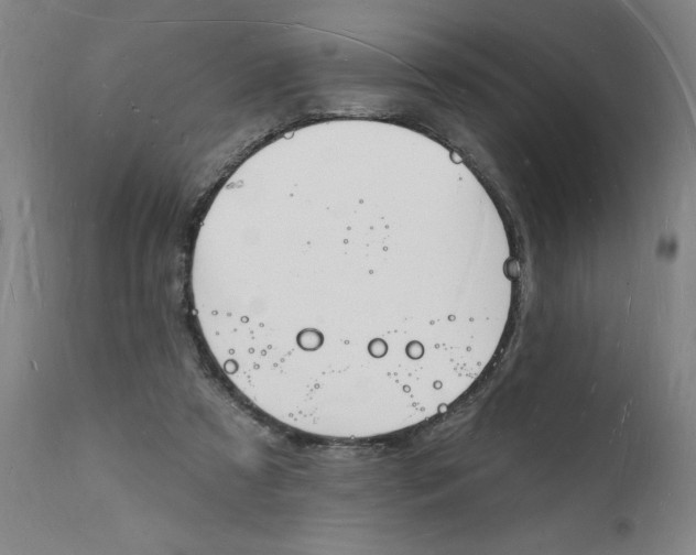 X0000112140305200908281323