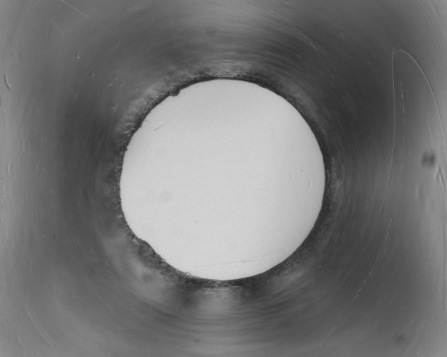 X0000112140307200908281323