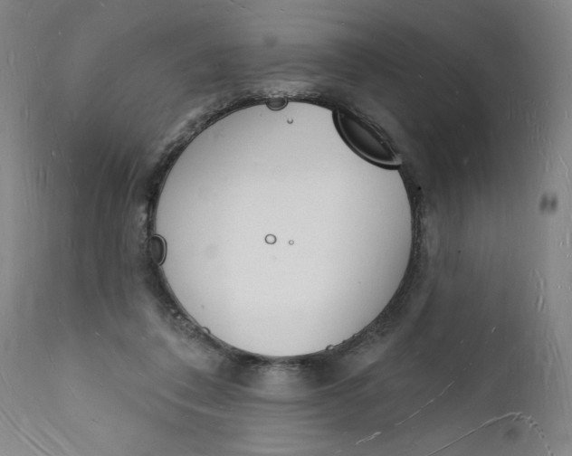 X0000112140308200908281323