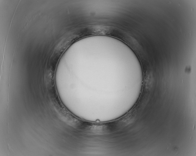 X0000112140314200908281323