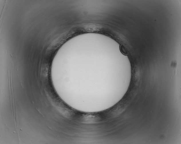 X0000112140315200908281323