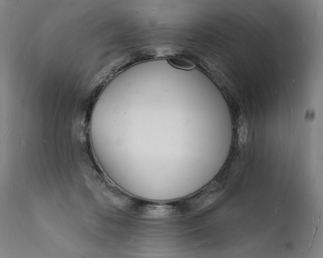 X0000112140316200908281323