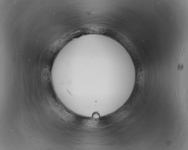 X0000112140318200908281323