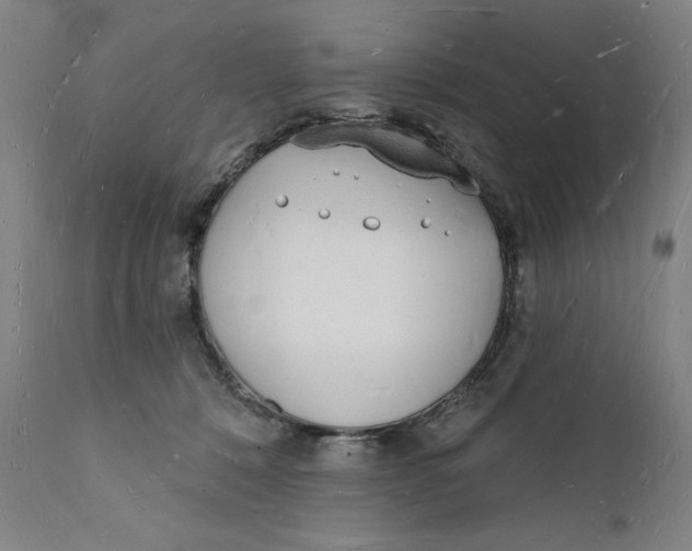 X0000112140320200908281323