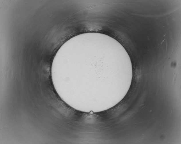 X0000112140321200908281323