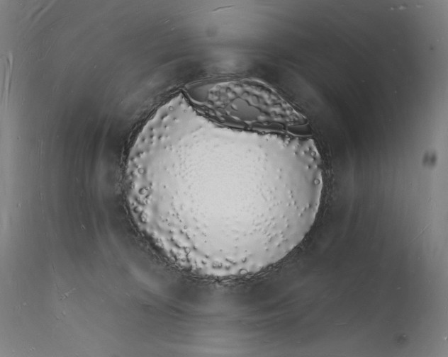 X0000112140324200908281323