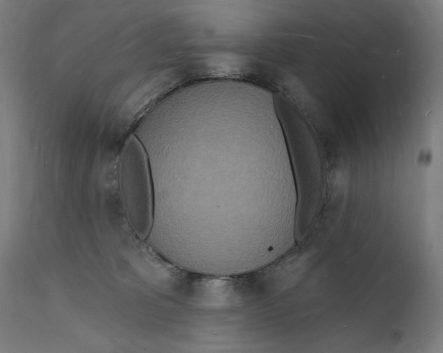 X0000112140325200908281323