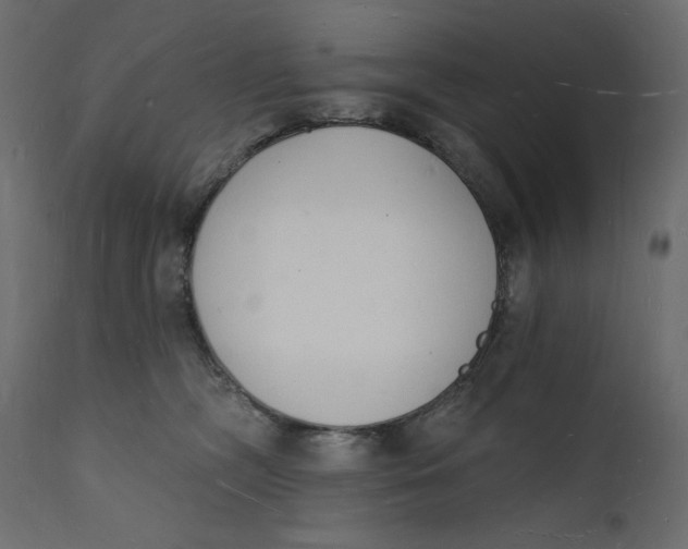 X0000112140326200908281323