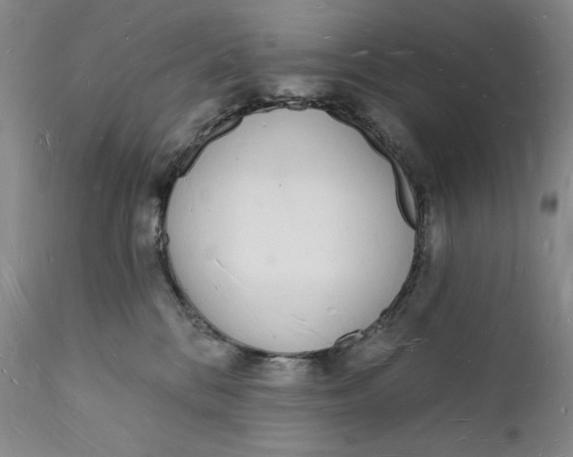 X0000112140328200908281323