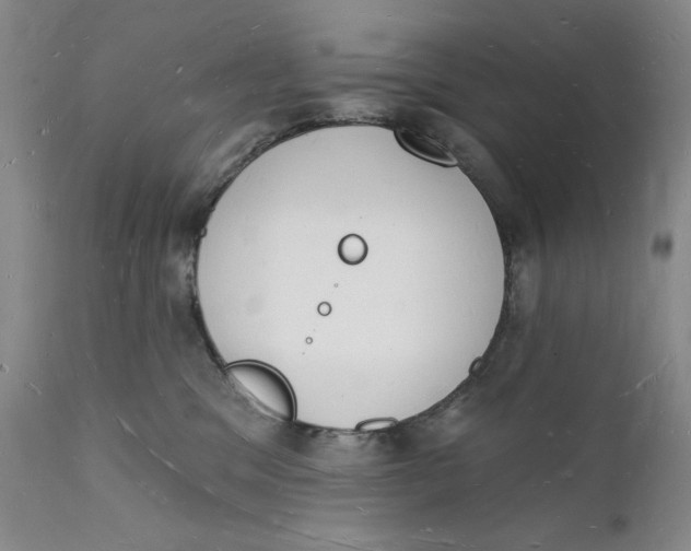 X0000112140329200908281323