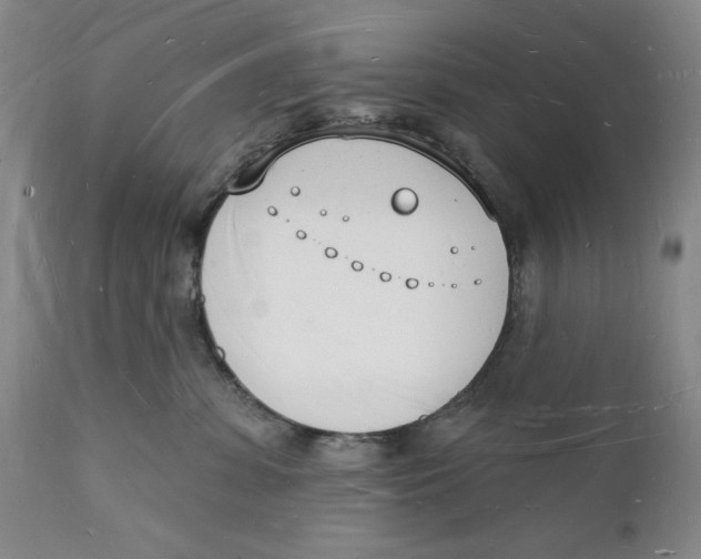 X0000112140331200908281323