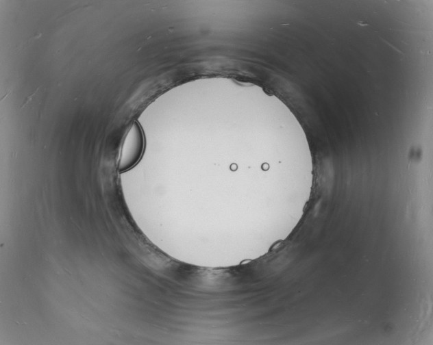 X0000112140333200908281323