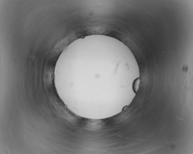 X0000112140334200908281323