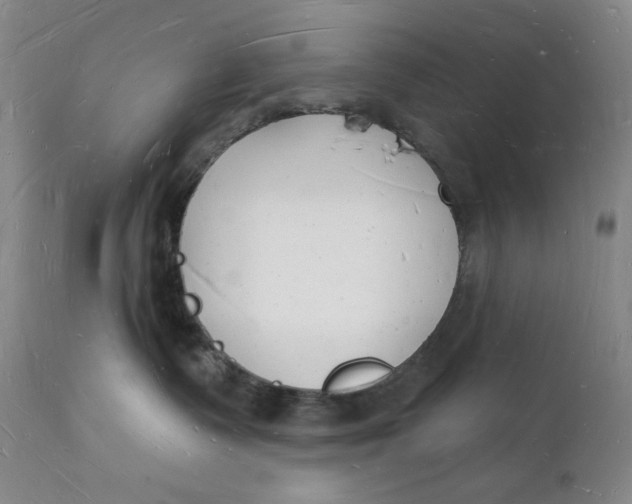 X0000112140335200908281323