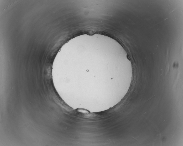 X0000112140336200908281323