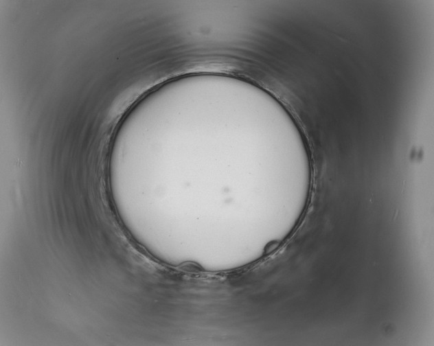 X0000112140337200908281322