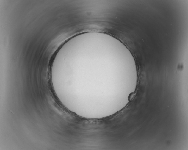 X0000112140338200908281322