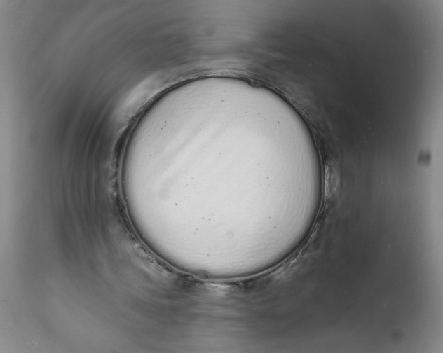 X0000112140339200908281322