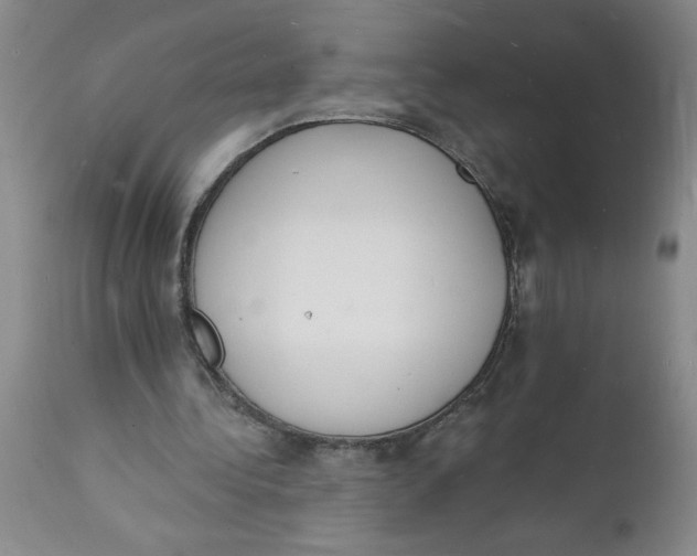 X0000112140340200908281322