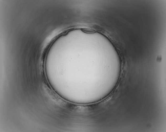 X0000112140343200908281322