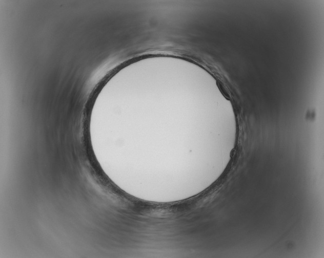 X0000112140344200908281322