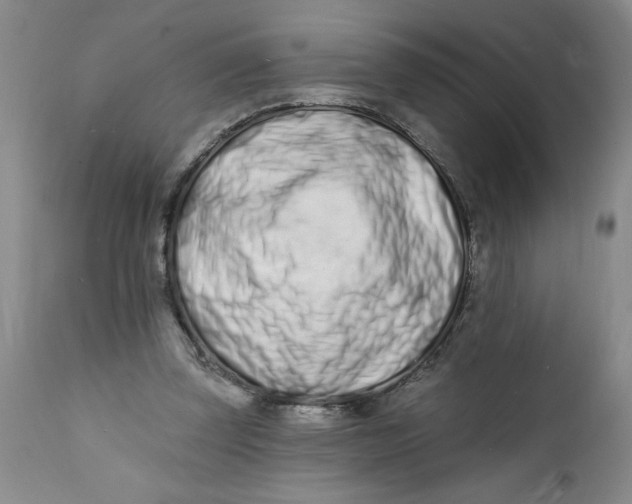 X0000112140347200908281322