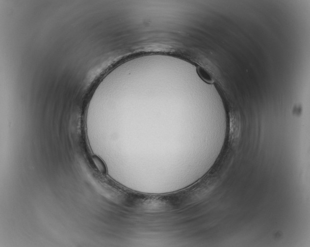 X0000112140348200908281322