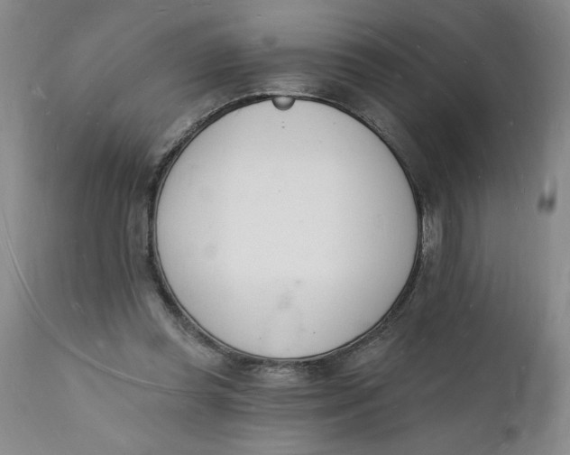 X0000112140349200908281322