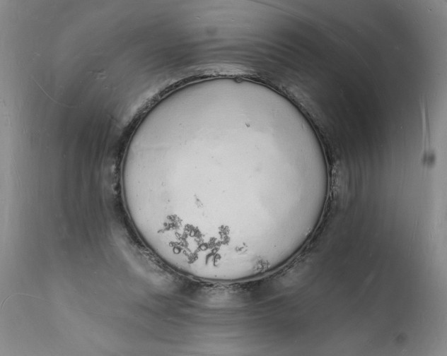 X0000112140351200908281322