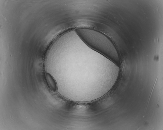 X0000112140352200908281322