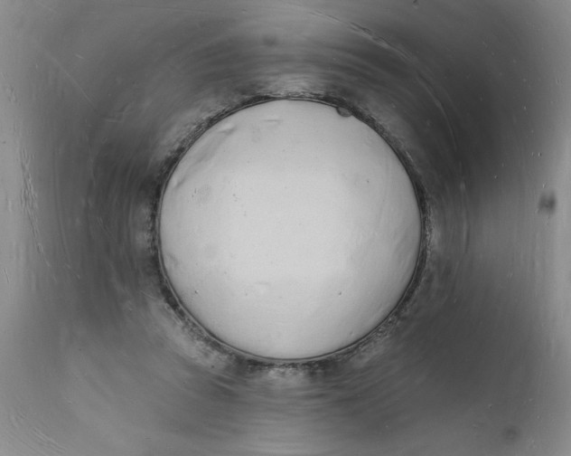 X0000112140353200908281322