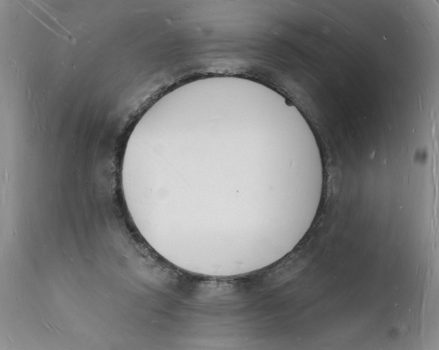 X0000112140354200908281322