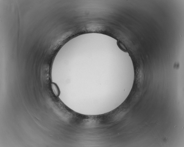 X0000112140356200908281322