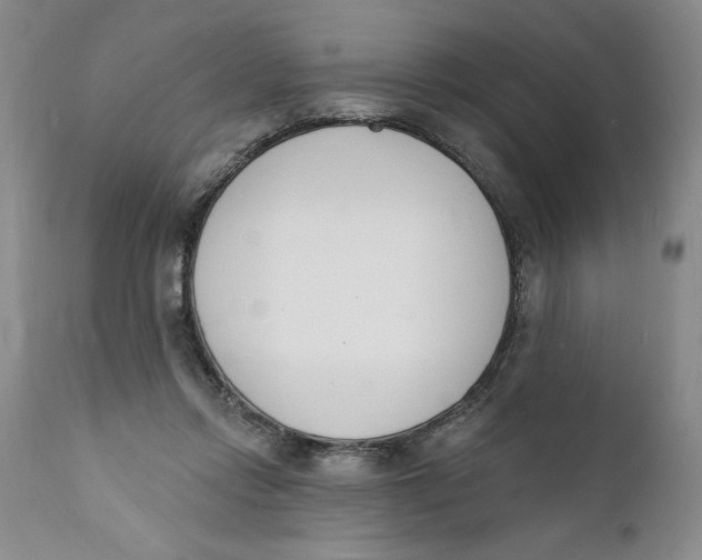 X0000112140358200908281322