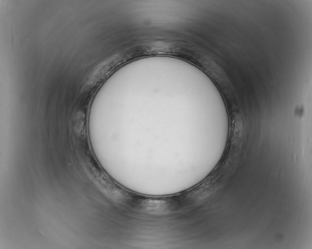 X0000112140361200908281322