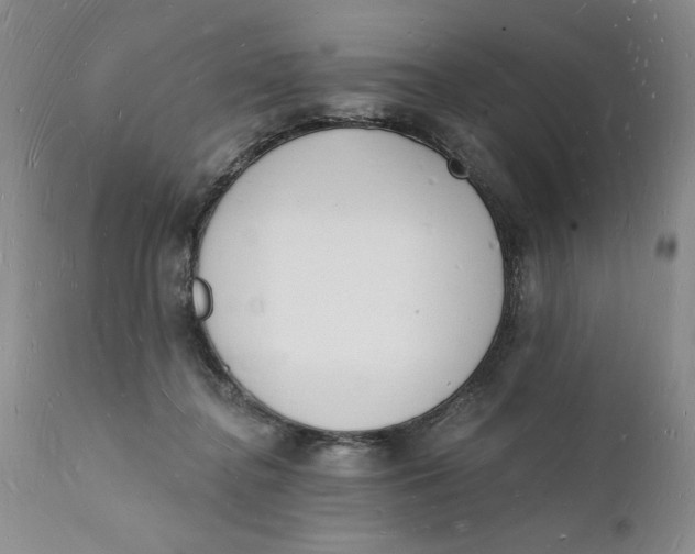 X0000112140364200908281322