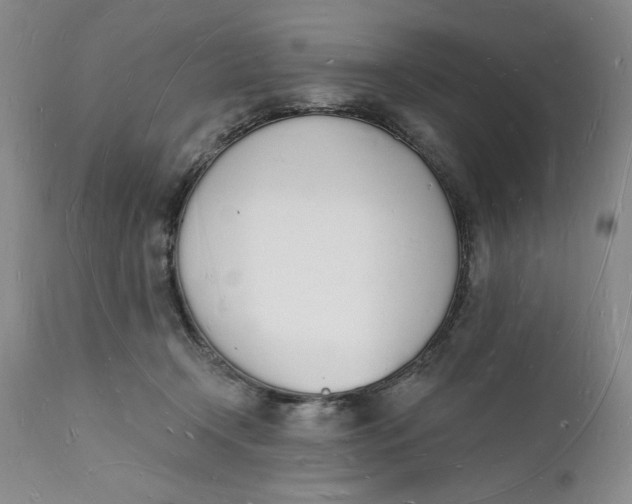 X0000112140366200908281322