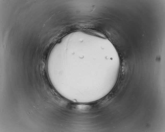 X0000112140371200908281322