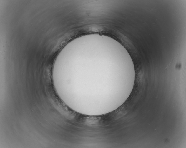 X0000112140373200908281322