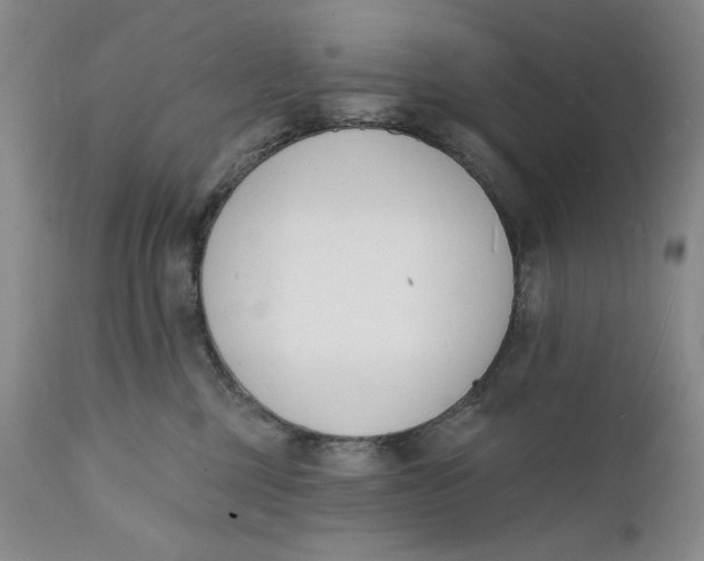 X0000112140377200908281322