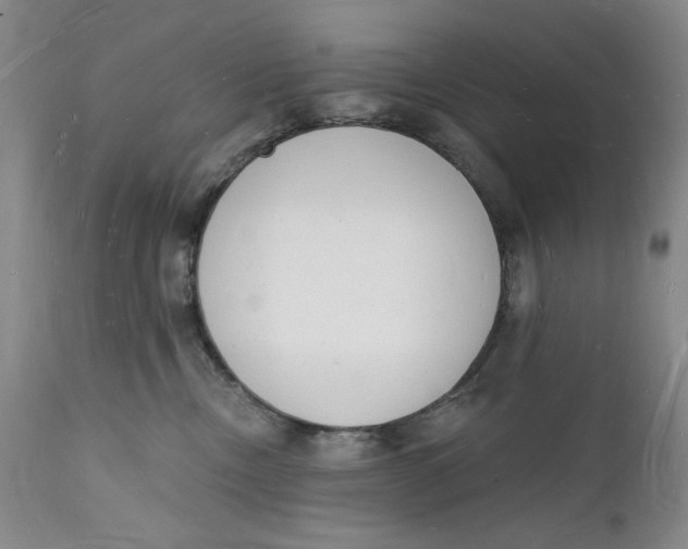 X0000112140378200908281322