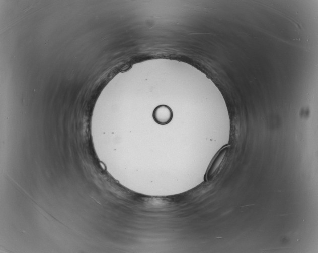 X0000112140380200908281322