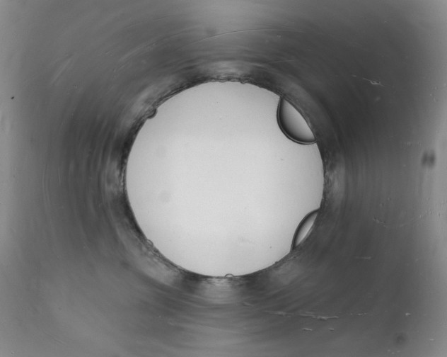 X0000112140381200908281323