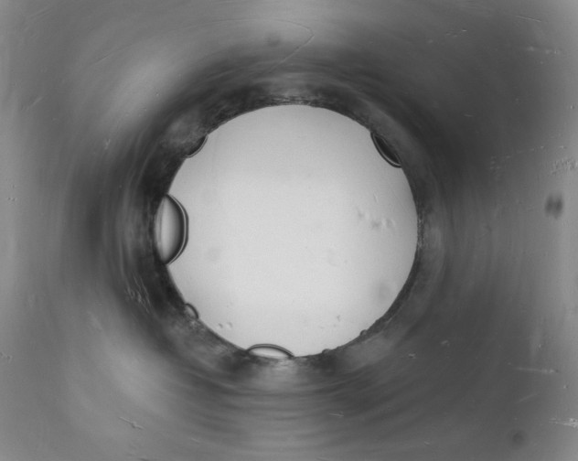 X0000112140382200908281323