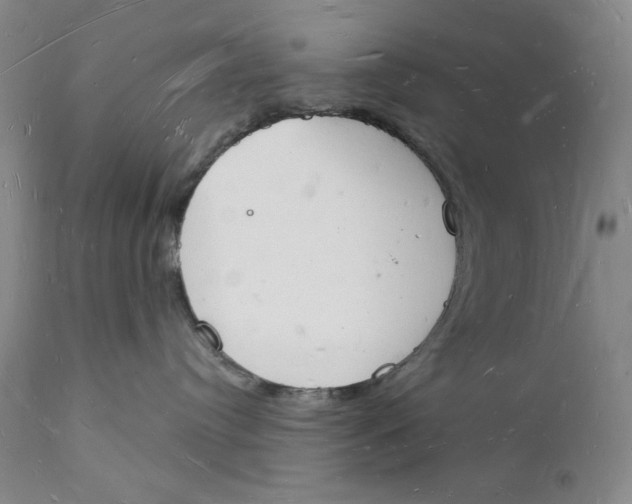 X0000112140384200908281323