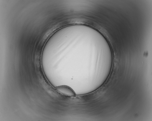 X0000112140386200908281322