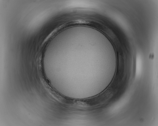 X0000112140387200908281322